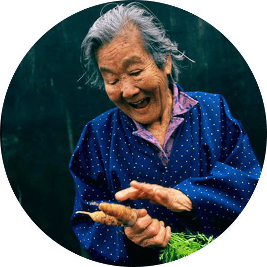 Okinawan woman picking carrots from the garden